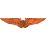 Navy Flight Officer Wings PTN