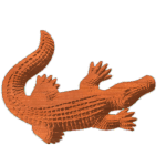 Alligator