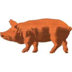 Pig_2x4_2