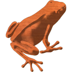 Frog4x5JH_2