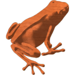 Frog4x5JH_2
