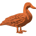 Duck 2 of 2
