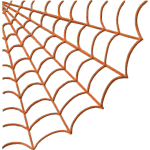 Spider Web-02