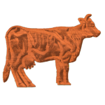 Cow01