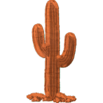 Cactus Plant02