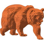 Grizzly Walking 5x6 - 1