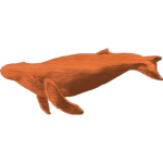 Whale 4x975 - 1