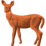 Young Deer Pattern