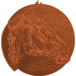 Horse 001 - CSF