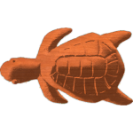 Turtle-01