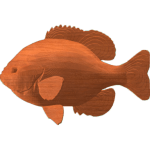 Bluegill - CSF