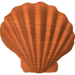 Shell Shape