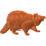 Raccoon Pattern