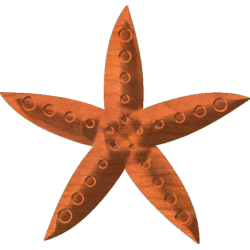 Starfish-01