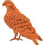 Hawk Standing Pattern