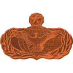Security Forces Function Badge Master