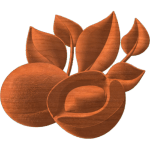 APRICOT