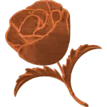 FLANDERS TULIP