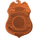 TSA Badge Pattern