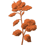 Hibiscus Flower