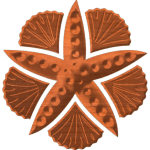 Starfish&Shells