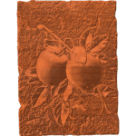 Apple Plaque RNB