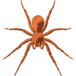 Spider-05