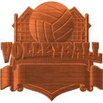 TEAM VOLLEYBALL