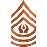 Army Rank E9 Command Sergeant Major