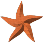 Five Point Spiral Star