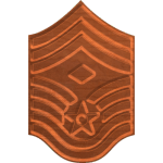 Air Force Rank E - 9 First Sergeant