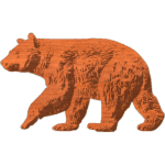 Black_Bear3x5_1