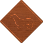 Dachshund Xing - CSF