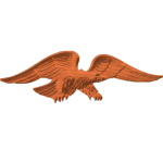 AMERICAN EAGLE