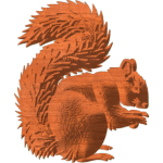 Squirrel Pattern