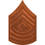 First Sergeant E8 Rank
