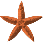 Starfish-01