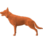 Dog German Shepard