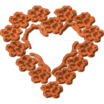 Flower Heart - CSF