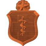 AF Medical Badge Pattern