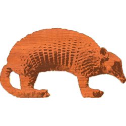 Armadillo