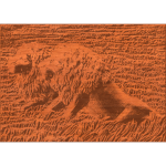 Two Lions