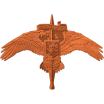 Spiritus Invictus Skull PTN