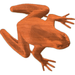 Frog01