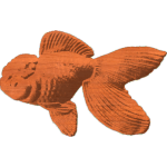 Oranda Goldfish