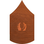 Army Rank Command Sergeant Major
