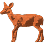 Doe_3x33_1