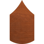 Army Rank Master Sergeant