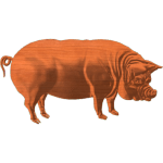 PIG 1