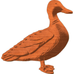 Duck 1 of 2